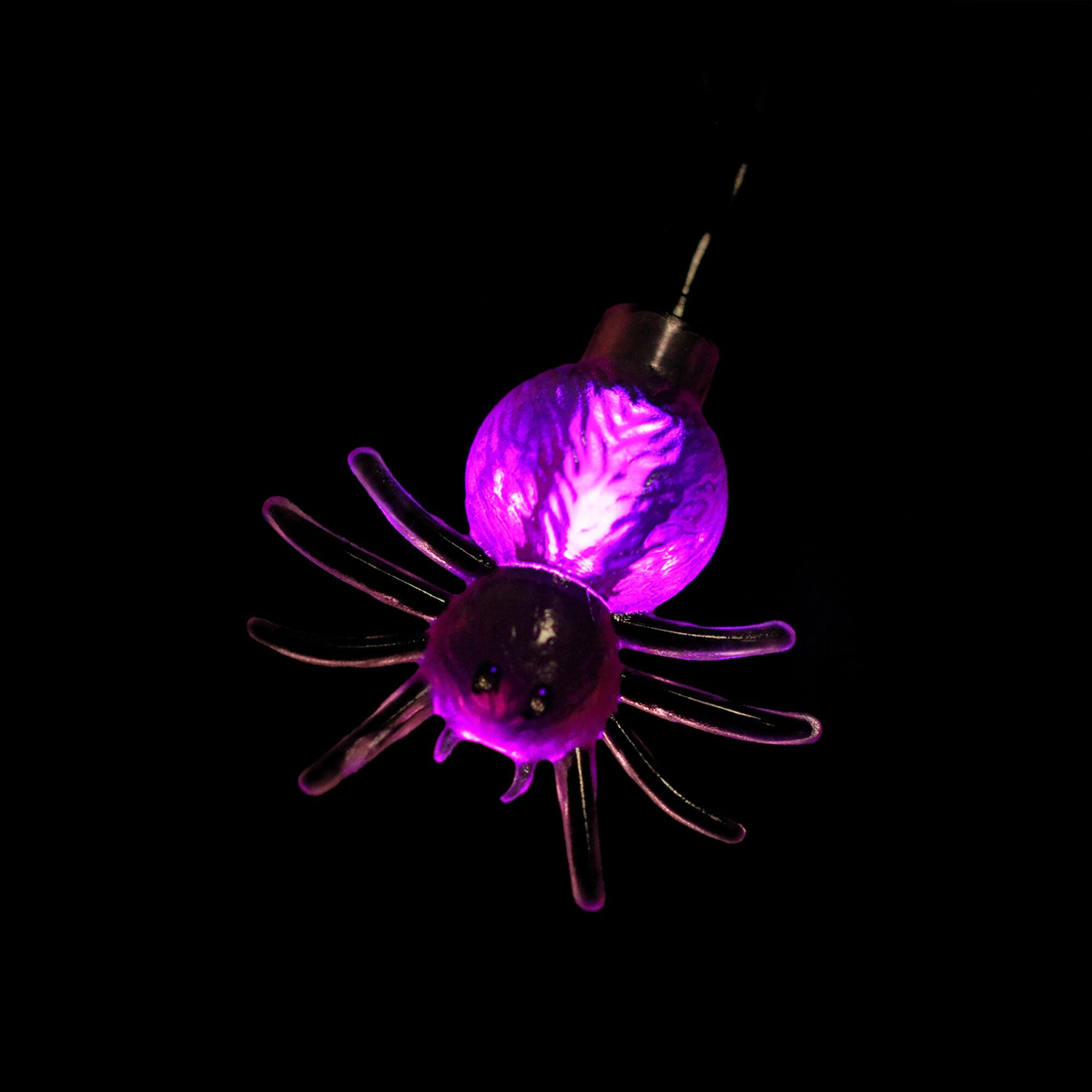 10ct. 4ft. Purple Spider LED Halloween Black Wire Lights
